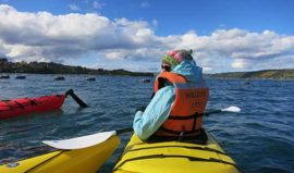 Kayaking Chiloe