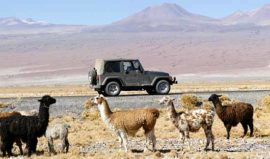 Private excursions, Awasi Atacama