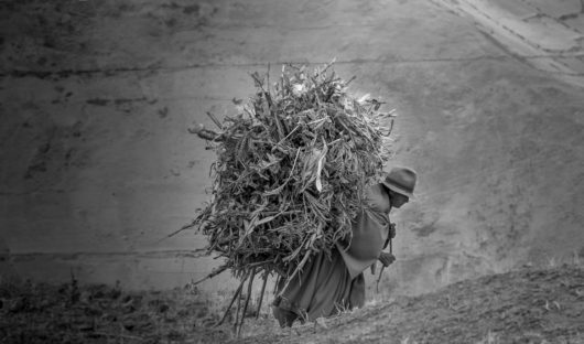 Woman With Hay by Andrew Moig