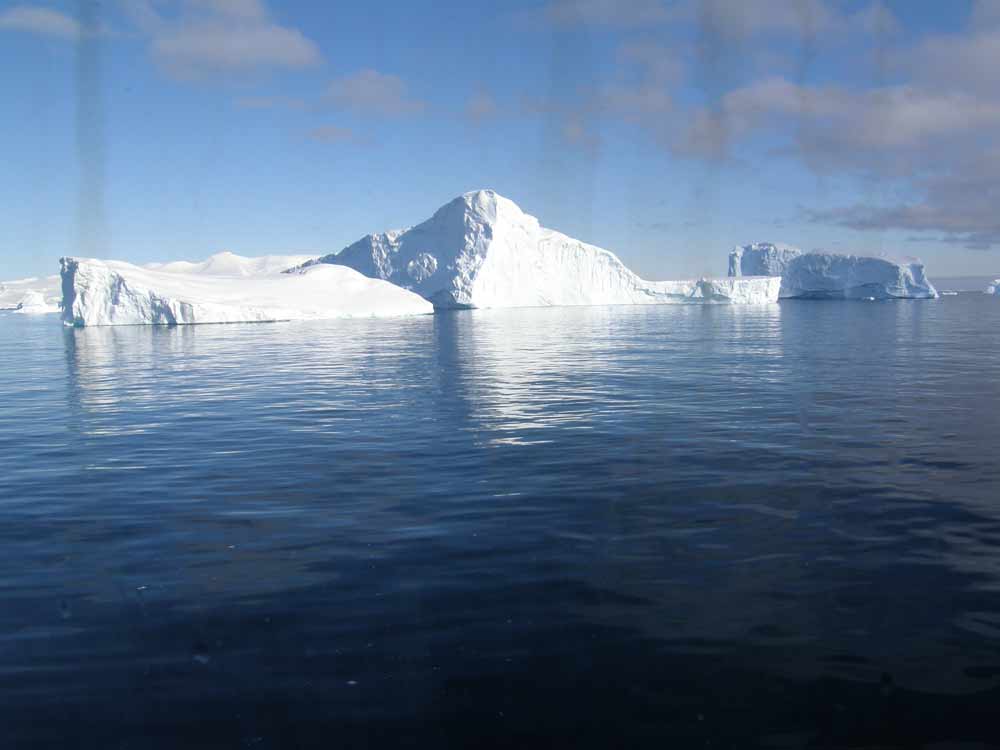 Icebergs in Antarctica by Diane Matthews