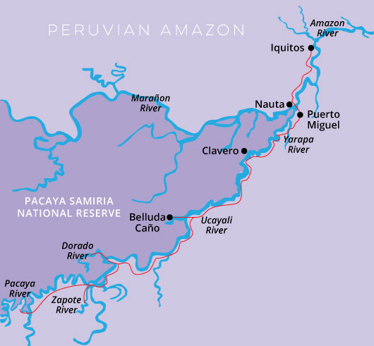 Peru Amazon- Delfin II- 5 Day Itinerary