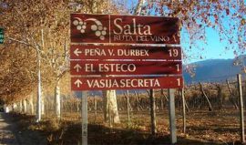 Wine Route