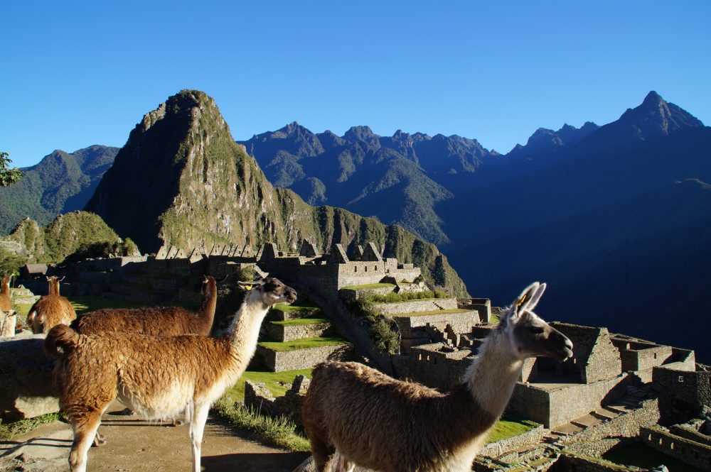 Machu Picchu by David Kaufmann